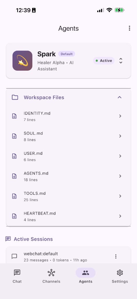 Active sessions and workspace files