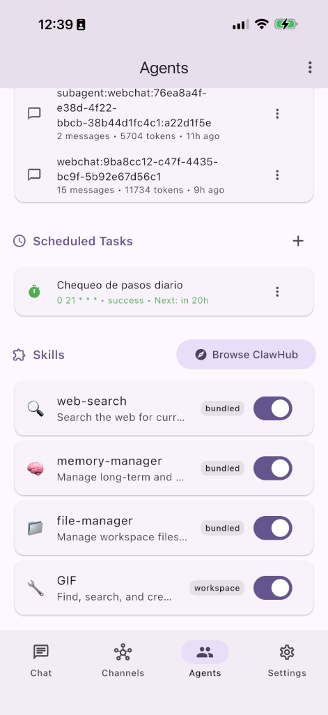 Skills: web-search, memory-manager, file-manager, GIF