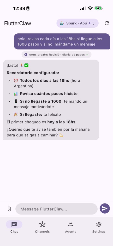 FlutterClaw chat with Spark: daily step reminder configured